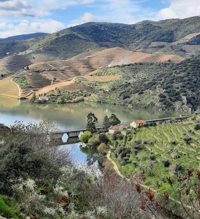 Quinta Da Ferradosa Wines Casa de hóspedes São João da Pesqueira Exterior foto