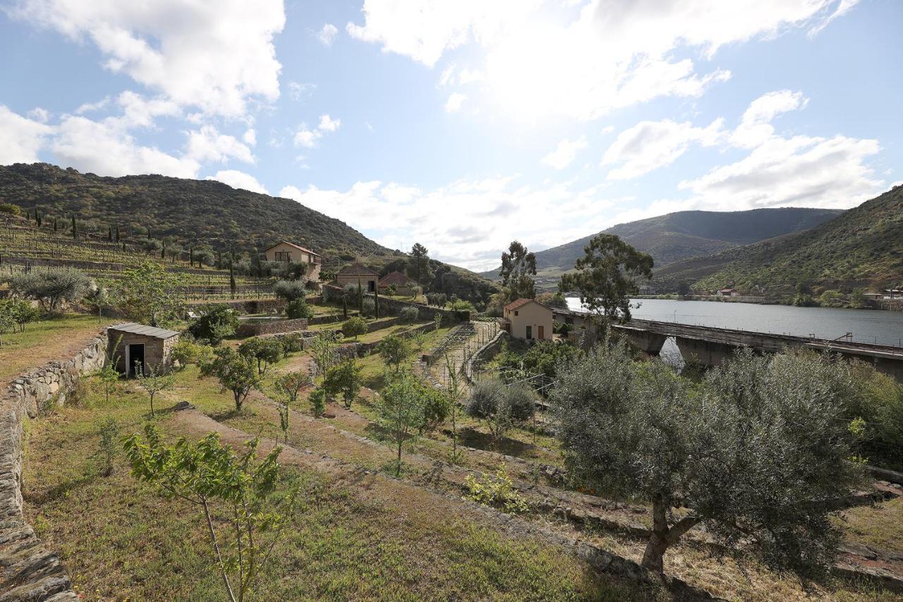 Quinta Da Ferradosa Wines Casa de hóspedes São João da Pesqueira Exterior foto