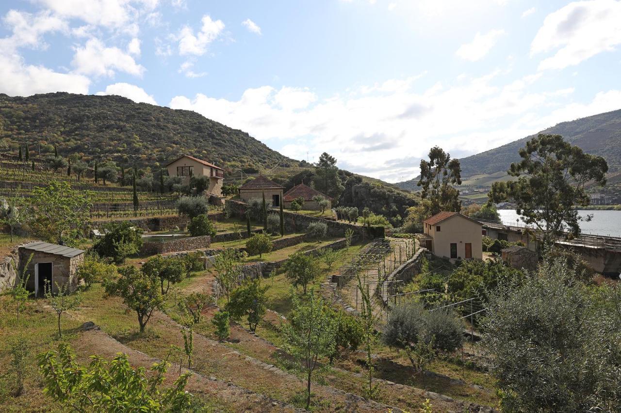 Quinta Da Ferradosa Wines Casa de hóspedes São João da Pesqueira Exterior foto