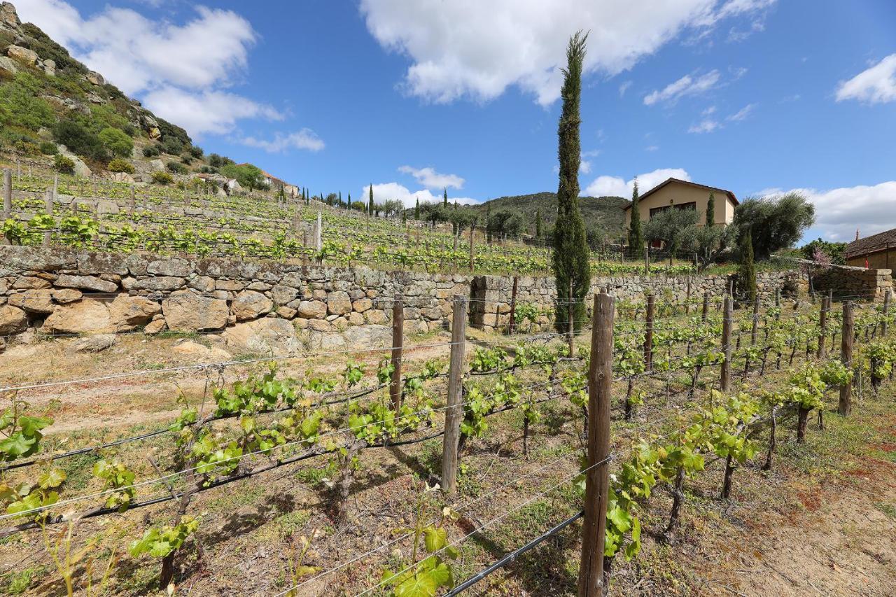 Quinta Da Ferradosa Wines Casa de hóspedes São João da Pesqueira Exterior foto