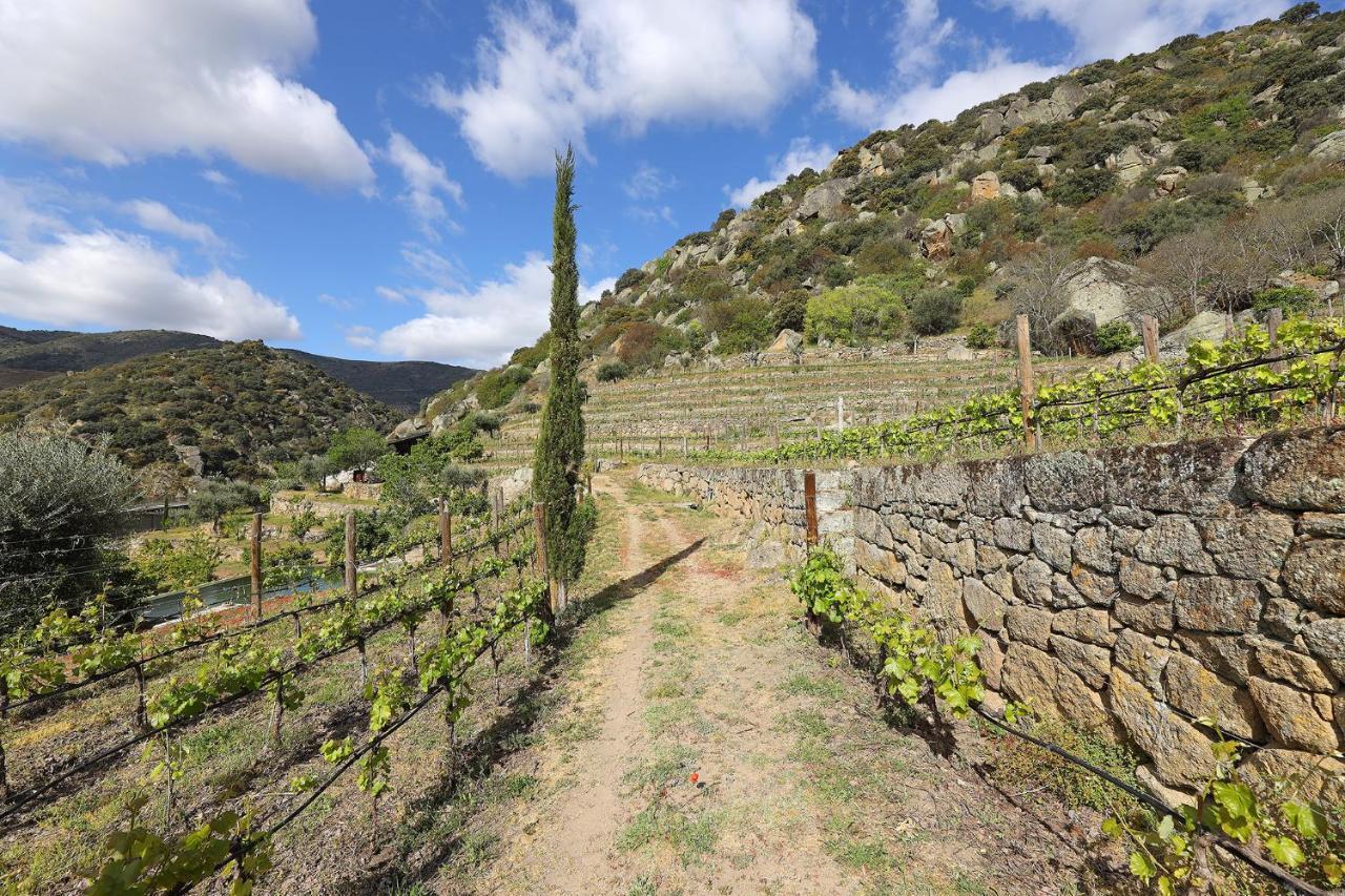 Quinta Da Ferradosa Wines Casa de hóspedes São João da Pesqueira Exterior foto
